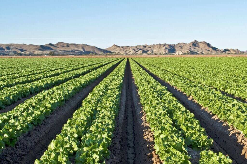 commercial farming/agriculture accounting